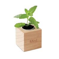 VASO MENTA